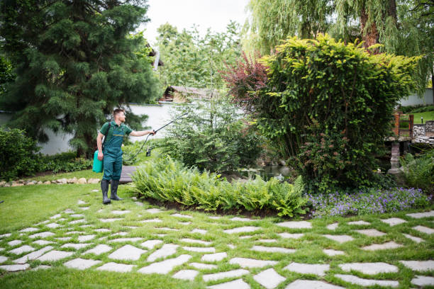 Best Local Pest Control Services  in Pulaski, TN