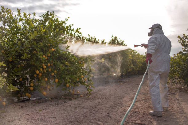 Best Mosquito Control Services  in Pulaski, TN