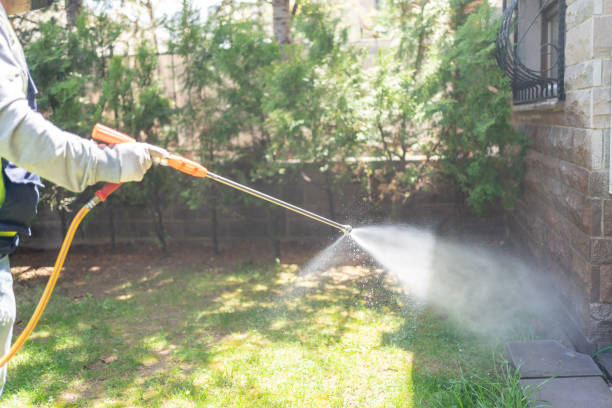 Best Rat Extermination Near Me  in Pulaski, TN