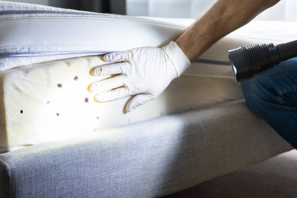 Best Emergency Pest Control  in Pulaski, TN