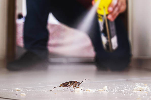 Best Insect Control  in Pulaski, TN